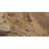 Roc terra